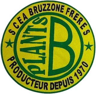 SCEA BRUZZONE FRERES-Gattières